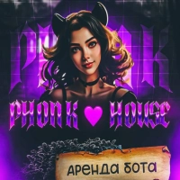 PHONK-HOUSE